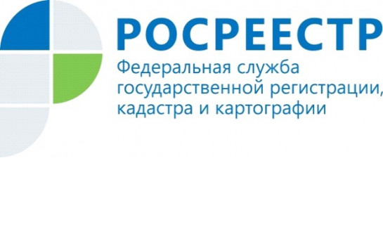 Как внести изменения в записи об объекте недвижимости либо правообладателе: «горячая» телефонная линия и прямая трансляция новосибирского Росреестра